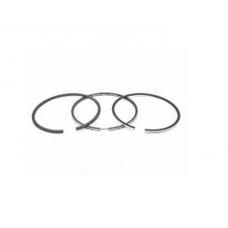 Set segmenti piston TEREX 820
