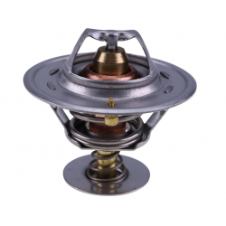 Termostat CAT 428B