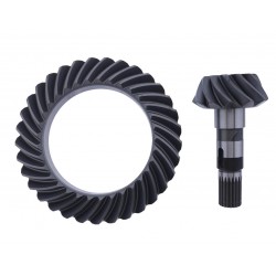 Grup conic punte spate...