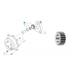 Pinion punte fata CASE 580SR